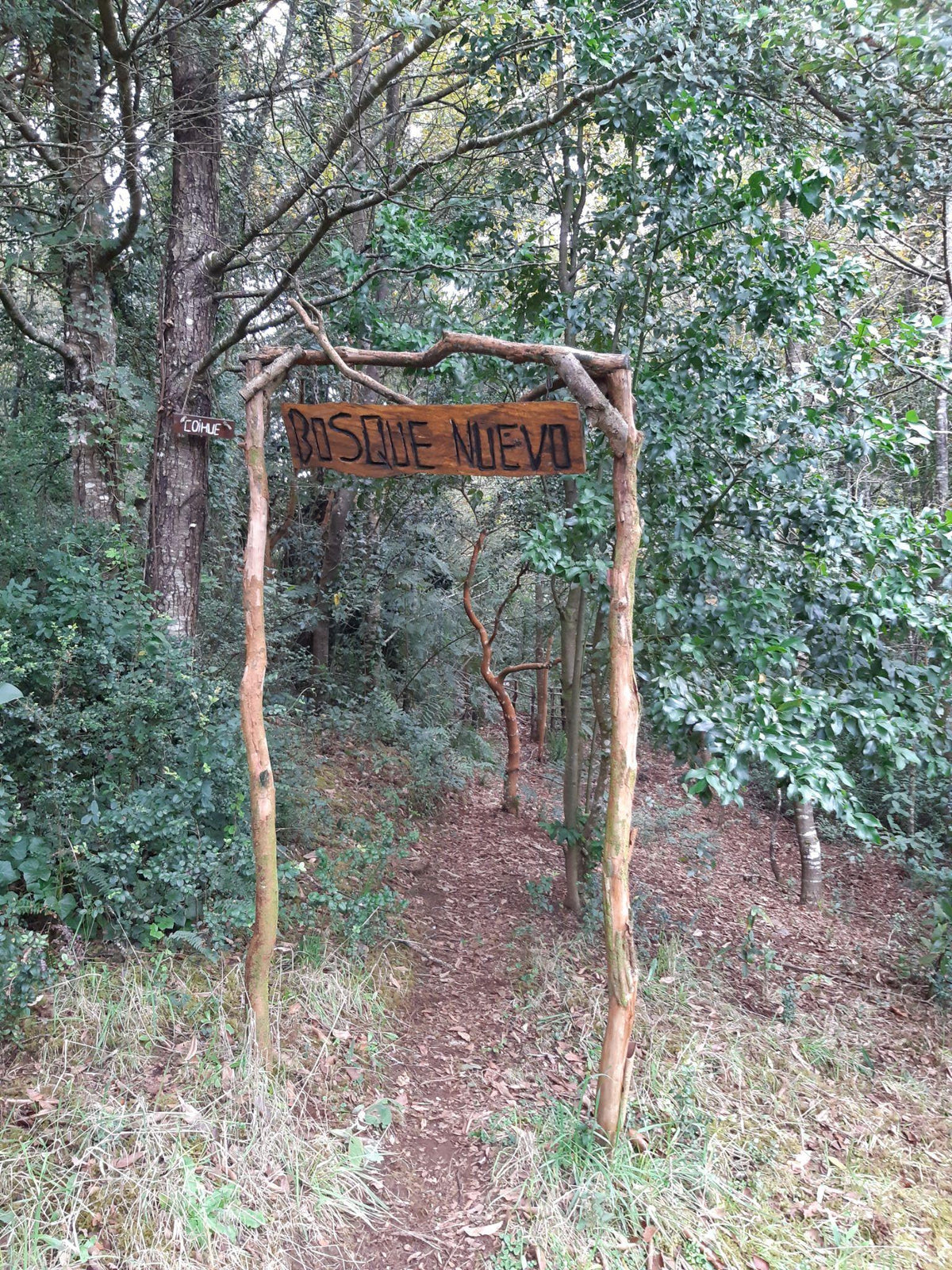 Bosque Nuevo, Jardín y Laguna