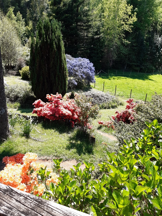 Bosque Nuevo, Jardín y Laguna