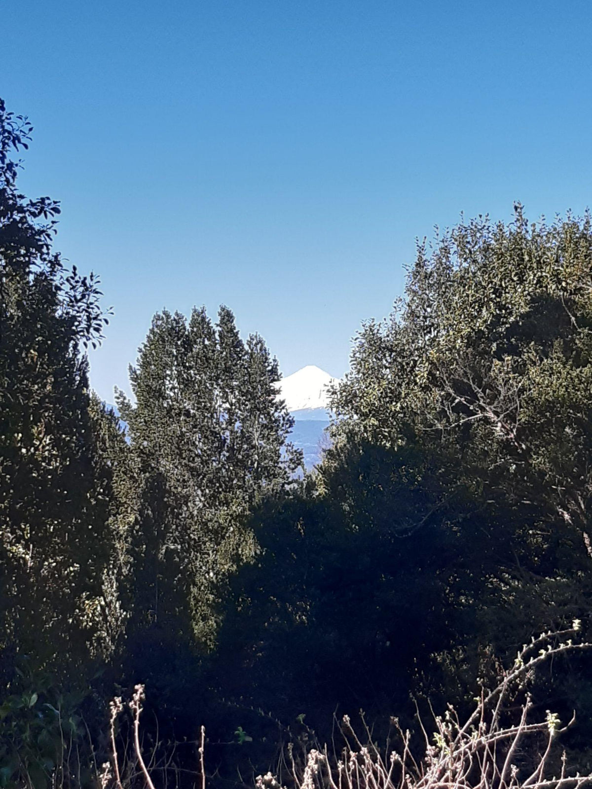 Circuito Mirador de Volcanes
