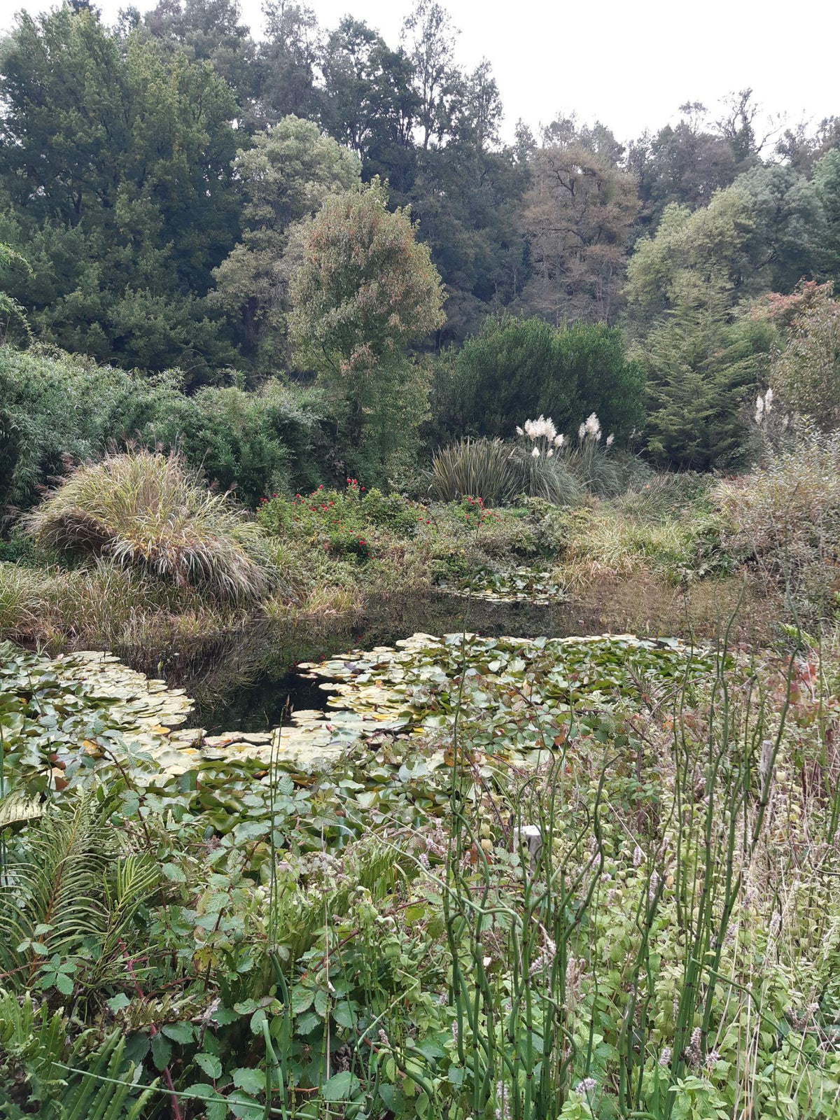 Bosque Nuevo, Jardín y Laguna
