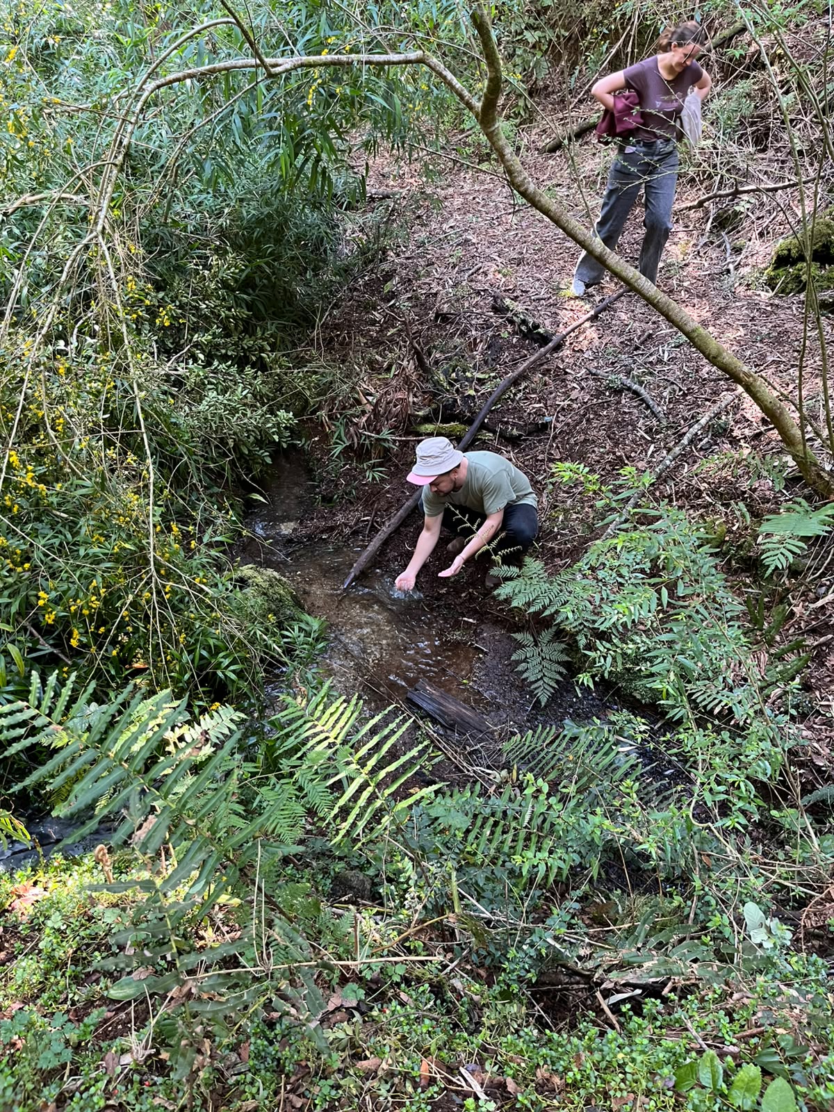 Visitantes en un sendero del bosque